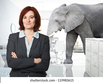 portrait of woman in office and elephant background