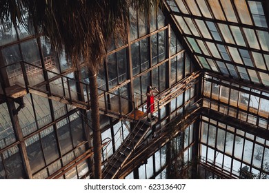 Portrait of woman standing and looking at binoculars in greenhouse - Powered by Shutterstock