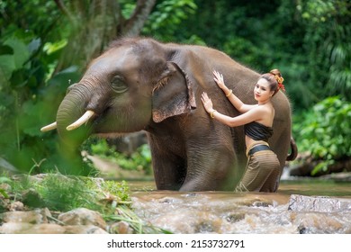 Portrait Of A Woman Standing In A River With An Elephant, Thailand
