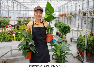 Portrait Of A Woman With Two Potted Plants Standing In A Garden Center