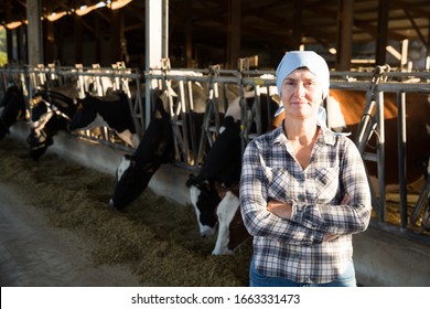 29,073 Cow And Woman Images, Stock Photos & Vectors | Shutterstock