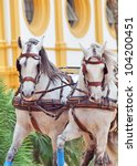 portrait of wonderful carriage white horses in movement in Jeres,  Spain