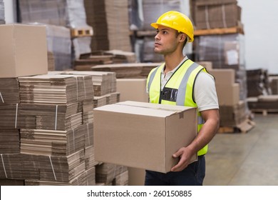 Portrait of worker carrying box in the warehouse