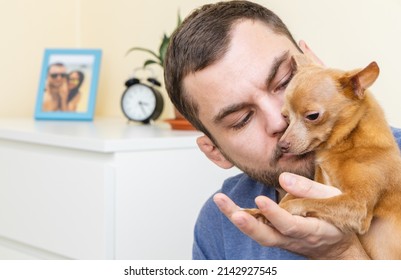 Portrait of young adult man and his small pedigree dog, Toy Terrier. Man hugs cute small dog. Pets care, love, and tenderness. Cuddles with the dog.