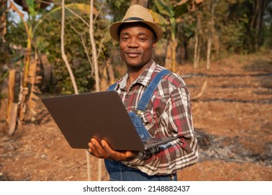 Portrait Of A Young African Farmer On His Plantation With A Laptop, Technology In The Agriculture Concept