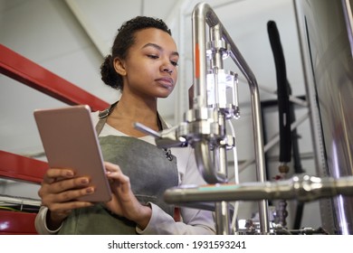 Portrait Of Young African-American Woman Controlling Production At Beer Making Factory And Using Digital Tablet, Copy Space