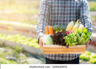 Portrait Young Asian Man Smiling Harvest And Picking Up Fresh Organic Vegetable Kitchen Garden In Basket In The Hydroponic Farm, Agriculture And Cultivation For Healthy Food And Business Concept.