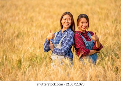 Portrait Of Young Asian Woman Farmer Working In Rice Paddy Wheat Field Farmland Together. Female Farm Owner Family Preparing Harvest Organic Wheat Crop Plant. Agriculture Product Industry Concept