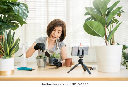 Portrait Of Young Asian Woman Planting Plant Pot To Fan Channel Record Home Video Online Influencer Girl In Social Media Marketing Live Blog Hobby New Normal Sme Small Business, Sustain Ecology