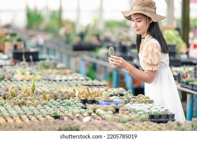 Portrait Of Young Asian Woman SME Small Business Entrepreneur As Cactus Plant Farm Owner Smile