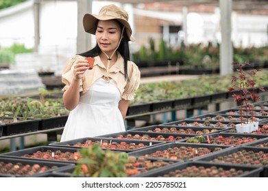 Portrait Of Young Asian Woman SME Small Business Entrepreneur As Cactus Plant Farm Owner Smile