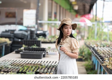 Portrait Of Young Asian Woman SME Small Business Entrepreneur As Cactus Plant Farm Owner Smile