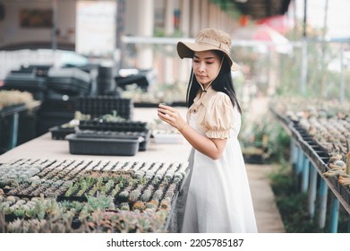 Portrait Of Young Asian Woman SME Small Business Entrepreneur As Cactus Plant Farm Owner Smile