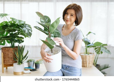 Portrait Of Young Asian Woman Smiling Friendly Holding Flower Pot With Green Plant House And Looking At Camera In Living Room. Concept Of Home Garden. Taking Care Of Home Plants.