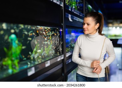 Portrait Of Young Attractive Brunette Choosing Exotic Aquarium Fish For Home Fish Tank In Pet Store