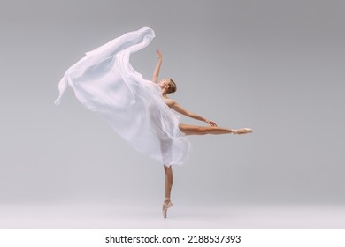 Portrait of young ballerina dancing with fabric isolated on grey studio background. Standing on tiptoe and throwing transparent cloth. Concept of classic ballet, inspiration, beauty, dance, creativity - Powered by Shutterstock