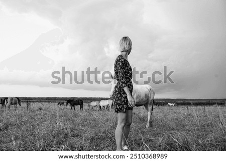 Similar – Image, Stock Photo Blond woman walking her dogs at sunset