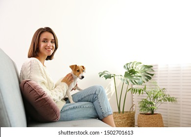 Portrait Of Young Beautiful Hipster Woman With Her Adorable Four Months Old Jack Russell Terrier Puppy At Home In Living Room Full Of Natural Sunlight. Lofty Interior Background, Close Up, Copy Space.