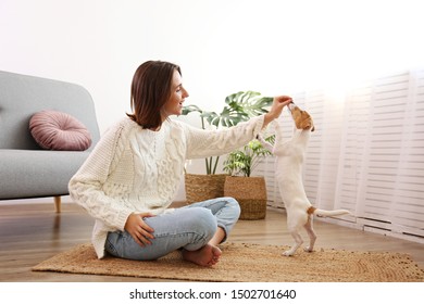 Carpet Puppies Stock Photos Images Photography Shutterstock