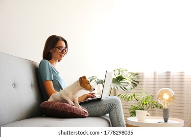 Portrait of young beautiful hipster woman working at home with her adorable jack russell terrier puppy at home in living room full of natural sunlight. Lofty interior background, close up, copy space.