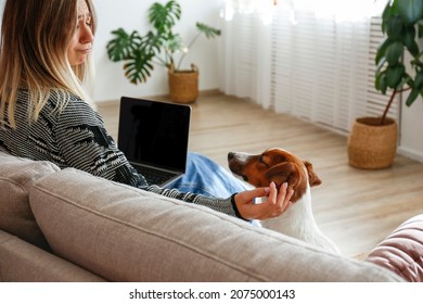 Portrait Of Young Beautiful Hipster Woman Working At Home With Her Adorable Jack Russell Terrier Puppy At Home In Living Room Full Of Natural Sunlight. Lofty Interior Background, Close Up, Copy Space.