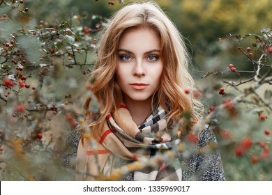 Portrait of young beautiful woman's face with blue eyes in a fashionable gray coat in a vintage scarf on the background of an autumn tree in the forest. Pretty girl enjoying the weekend in nature.