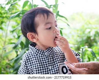 Portrait Young Boy 2 Year Old Child Eating Snack Food On Green Blur Nature Background. Cute Little Boy. Authentic Black Hair And Black Eye Asian Thailand. Kid Learning And Happy Family Fun Concept.