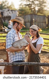 Portrait Of Young Caucasian Happy Farmer Couple Holding A Little Goat In Their Arms. Family Business At Ecological Farm. Healthy Food.Industrial Production Of Goat Milk Dairy Products. Cattle Farming.