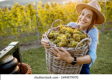 Portrait Of A Young Cheerful Woman With Basket Full Of Freshly Picked Up Wine Grapes Near The Press Machine On The Vineyard
