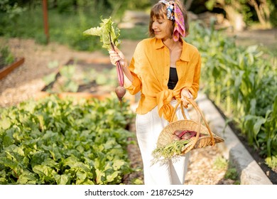 Portrait Of Young Cheerful Woman Stands With Freshly Picked Beetroot In Basket At Home Garden. Concept Of Local Growing Of Organic Food And Sustainable Lifestyle