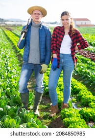 Portrait Of Young Farmer Couple Standing On Leaf Vegetable Plantation With Gardening Tools On Sunny Spring Day, Ready To Work