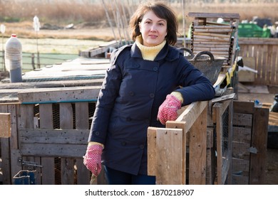 Hahn Und Henne Bilder Stockfotos Und Vektorgrafiken Shutterstock