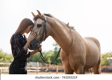 Portrait of young female assistant farm manager calming down a horse and talking to a new stallion.