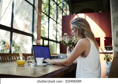 Portrait of a young female freelancer using laptop computer for distance job while sitting in modern coffee shop interior, smart blonde woman working on net-book during morning breakfast in cafe bar - Powered by Shutterstock