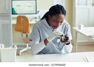 Portrait Of Young Female Veterinarian Examining Snake At Vet Clinic, Reptile Specialist, Copy Space