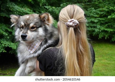 Portrait Of A Young Finnish Lapphund Dog And A Millennial Woman Wearing Matching Bandana And Scrunchie