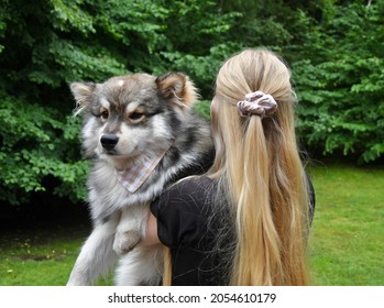 Portrait Of A Young Finnish Lapphund Dog And A Millennial Woman Wearing Matching Bandana And Scrunchie