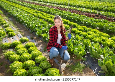 Portrait Of A Young French Woman With Hoe Working In A Farm On Warm Sunny Day