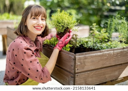 Portrait of a young gardener planting spicy herbs at home vegetable garden outdoors. Concept of homegrowing organic local food