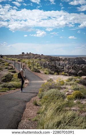 Portrait of a young girl with backpack and camera in the Petrified Forest National Park