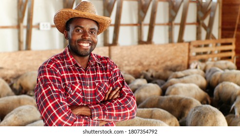 Portrait of young handsome African American man farmer in hat looking at camera, crossing hands and smiling in barn with livestock. Happy cheerful male shepherd smile in stable. Dolly shot. Zooming.