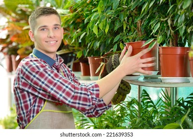 Portrait Of A Young Man Florist That Cares For The Flowers In The Greenhouse