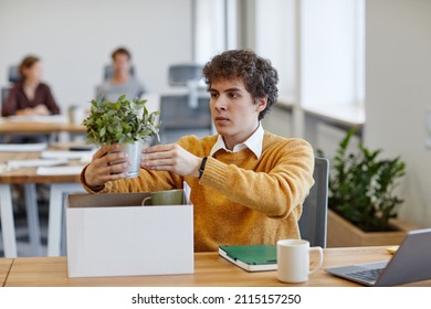 Portrait of young man settling at new job and putting plant on workplace, career and recruitment concept, copy space - Shutterstock ID 2115157250