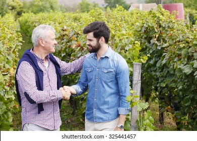 Portrait Of Young And Old Winemaker Standing At Vineyard And Shaking Hands. Senior Professional Man And Smiling Businessman Working Together At Family Business. 