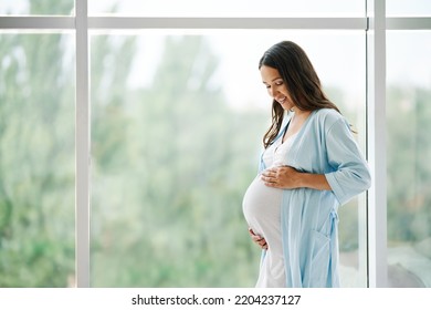 Portrait of young pregnant woman standing near window holding hands on her belly at modern home with copy space. Pregnancy, motherhood, expectation and tenderness concept