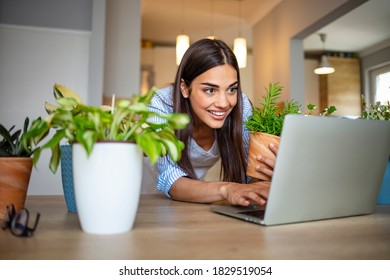 Portrait Of Young Smiling Woman In A Beige Apron Watching You Tube Tutorial On A Laptop And Planting Flowers In Pots In Beautiful Modern Apartment.