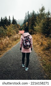 Portrait Of Young Tourist Woman With Backpack In Colorful Autumn Misty And Foggy Forest. Female Turist During The Hike - Vertical Photo From Back.