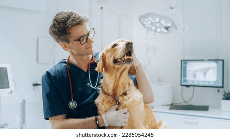 Portrait of a Young Veterinarian in Glasses Petting a Noble Healthy Golden Retriever Pet in a Modern Veterinary Clinic. Handsome Man Looking at Camera and Smiling Together with the Dog. Static Footage - Powered by Shutterstock