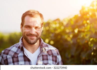 Portrait Of A Young Winemaker In Vineyard, Toned.