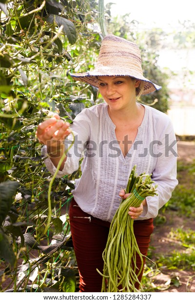 Portrait Young Woman Hat Picking Harvest Stock Photo Edit Now